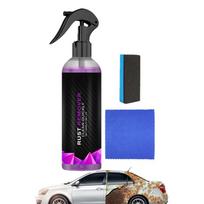 Rūdžių valiklis metalui 100ml Automobilių geležies milteliai Rūdžių valiklis rūdžių reformatorius geležies dalelėms pašalinti iš automobilių dažų, motociklų ir RV CHINA