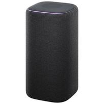 Xiaomi Smart Speaker Pro CN plug (adapter included)