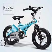 Healthy Kid's Tricycle and Bicycle for Boys and Girls Ages 3-7: Princess Style Available 12 inches
