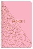 Užrašų knygutė langeliais A6 96 lapų BRONZE