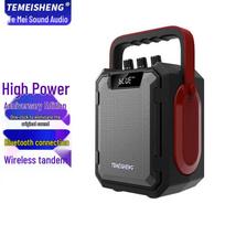 TEMEISHENG Xuanwu V1 Portable Outdoor Bluetooth Karaoke Speaker (CN version)