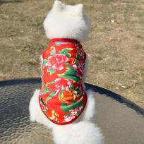 Dog Teddy Bigbear Cat Vest Pomeranian Schnauzer Corgi Small Medium Large Dog Pet Clothes (as the picture,S)