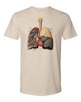 Cottage Cult Clothing Tee T Shirt 100% Cotton Occult Anatomy Lungs Victorian S