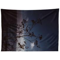 BIG SUR WILD FLOWERS III tapestry 75x100 juoda