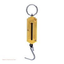 Portable Digital Luggage Weight Scale, Handheld Travel Scale, 12 kg, 50kg