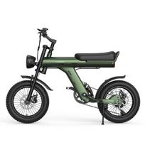 JANSNO X90 Suaugusiųjų Elektrinis Dviratis 750W 48V 14AH Paslėpta Baterija 16  Stori Padangų Dviguba Pakaba Visureigis Sniegas Bet Koks Paviršius E-Dviratis Jansno X90 žalia