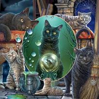Full 5D DIY Diamond Painting Cat Group and Mirror Diamond Embroidery Full Cross Stitch Home Decor Handmade Gift 20x20cm