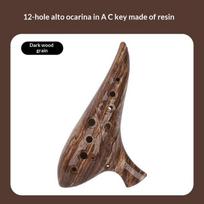 12 skylių okarina instrumentas Okarinos Alto C tonas Profesionalus dervos okarinos instrumentas muzikos mylėtojui pradedančiajam as the picture
