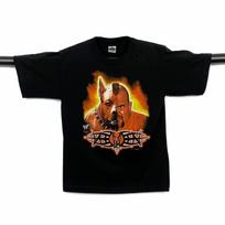 Vintage Wwf 2000 Tazz “Protected By Tazz” Wrestling Graphic Unisex T-Shirt S
