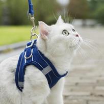 Pet Chest and Back Straps, Small Dog Vest Style Dog Leash, Dog Walking Leash, Cat Supplies, Breathable and Reflective XS tamsiai mėlyna
