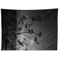 BIG SUR WILD FLOWERS IV tapestry 75x100 juoda
