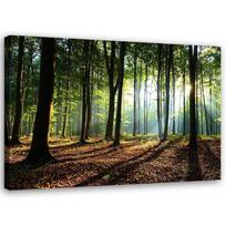Canvas print, Forest at sunrise landscape 120x80 žalia