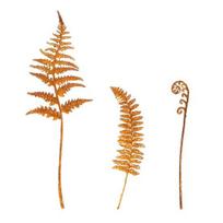 1 Set Rusty Flower Garden Stakes, Metal Cutout Rose Tulip Decorations, Flower Plant Silhouette Yard Art Stakes for Garden Bed Flowerpot Planter Lawn A