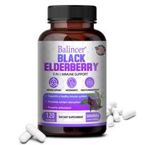 Black Elderberry Supplement, With Vitamin C, Zinc, Quercetin, 120 Capsules Per Bottle 120 Capsules