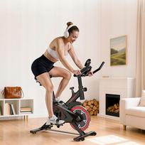 QK101-DZ Spin Bike Silent 6kg Flywheel Adult Home LCD Exercise Bike