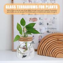 Terrarium Jar Glass Terrarium Ecosystem Container Size M Hydroponic Plant Container Micro Landscape Glass Jar for Plants 12x10CM