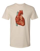 Cottage Cult Clothing Tee T Shirt 100% Cotton Occult Medical Anatomy Heart Art S