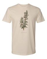 Cottage Cult Clothing Tee T Shirt 100% Cotton Occult Goth Plant Witch Rosemary XXXXL