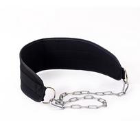 Meier Fitness weighted training belt - barbell plate pull-up assist - back & waist trainer for men