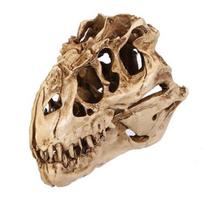 Individualumo unikalus dervos dinozaurų modelis, skirtas kambarinei kaukolei
