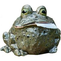 Whimsical Toad Tissue Box Cover, Novelty Resin Frog Toilet Paper Holder for Home Decor 1pcs