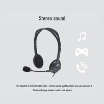 Logitech H110 Wired Stereo Headset with Dual 3.5mm Jacks