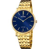 Vyriškas laikrodis Festina F20046/4