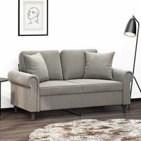 Dvivietė sofa su pagalvėmis, šviesiai pilka, 120cm, aksomas