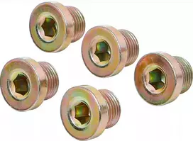 Bgs Technic Alyvos išleidimo kamštis | BGS 126 | M17 x 1,5 mm | 5 vnt. (126-SM17)