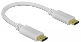 Delock USB Type-C charging cable 15 cm PD 100 W white