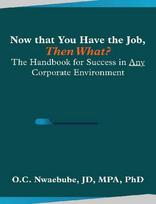 Now that You Have the Job, Then What?: The Handbook for Success in Any Corporate Environment