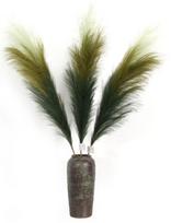 Ombre stiliaus pampos, 3 vnt.
