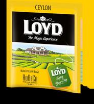 Juodosios arbatos gėrimas LOYD HORECA line, BLTLOY5900396020833