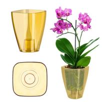 Gėlių vazono orchidėjų dangtis Gėlių stovas Plastikinės gėlės 9cm Medus Kadax