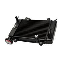 ATV Water Cooling Radiator Fit for 150cc 200cc 250cc ATV UTV Buggy 4x4 Quad Bike Aluminium Alloy Heat Exchanger Radiator Cooling
