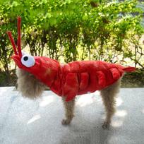 Red L Size Lobster Design Pet Garment for Puppy Kitten Warm Comfortable Dog Cat Clothes Autumn Winter Outdoor Walking Wear S
