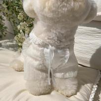 Pet Summer Four Legged Clothes Perspective Lace Small Sized Breathable Hooded Sunscreen Clothes for Dogs and Cats Thin Jumpsuit (as the picture,XS)