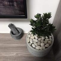 @ Big White Pebbles Stones For Garden And Home Decor 220Gm UKR690_60%OFF