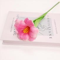 5Pcs Artificial Tulips Realistic Touch Simulated Flowers for Home Party Wedding Birthday Festival Decor DIY Bouquet Decoration