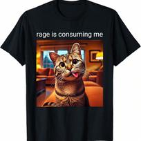 Funny Rage Is Consuming Me Silly Staring Cat Meme T-Shirt(2) S įvairiaspalvis