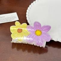Plastic Grab Clip Acrylic Large Hair Claw Creative Flower Hair Clip  Female Style 17