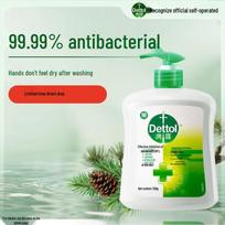 Dettol Pine Scented Hand Wash