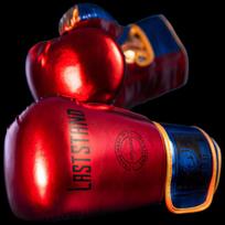 Longchan Adult Boxing & MMA Training Gloves