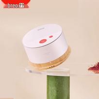 Breo Smart Portable Moxibustion Device A2 CN plug (adapter included)