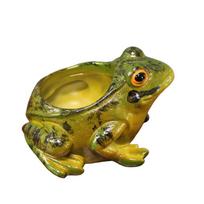 Creative Miniature Garden Planter With Cute Frog Figurine For Home Decor And Giftgiving