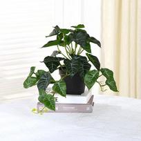 Bonsai Party Decoration Desk Office For Home Simulation Plants Turtle Leaves Green Plant Fake Plant 3