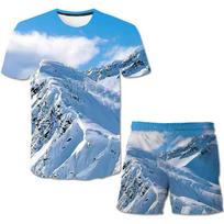 Summer Children Wolf T Shirts Shorts Suits Boys Girls Cartoon Short Sleeves Tops + Elastic Waist Trousers 2PCS Clothing Outfits 100