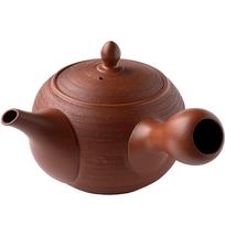Tokoname Ware Large Teapot 560ml with Ceramic Tea Strainer Made in Japan Red Clay