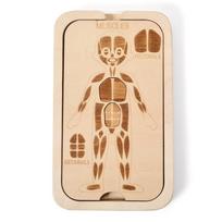 Children Wooden Montessori Toys Human Body Puzzles Toys Wooden Human Anatomy Puzzle Cognitively Human Preschool Anatomy Toy Set
