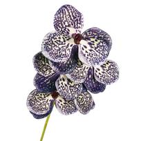 Rankų darbo dirbtinė Vanda orchidėjos gėlė Realus prisilietimas Dirbtinė Phalaenopsis Lauko sodo dekoras violetinė
